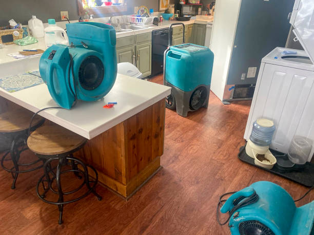 Best Flood damage cleanup  in London, OH