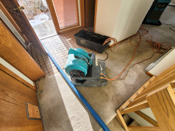 Best Local water damage restoration  in London, OH