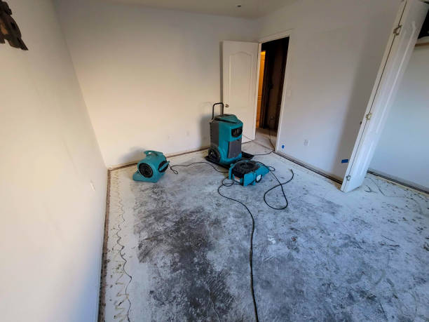 Best Water damage restoration company  in London, OH