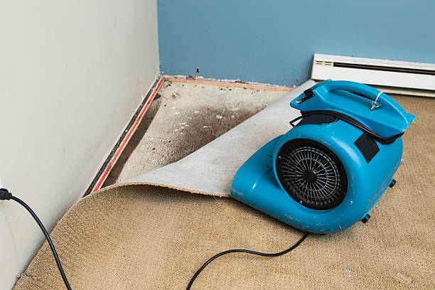 Reliable London, OH Water damage restoration Solutions